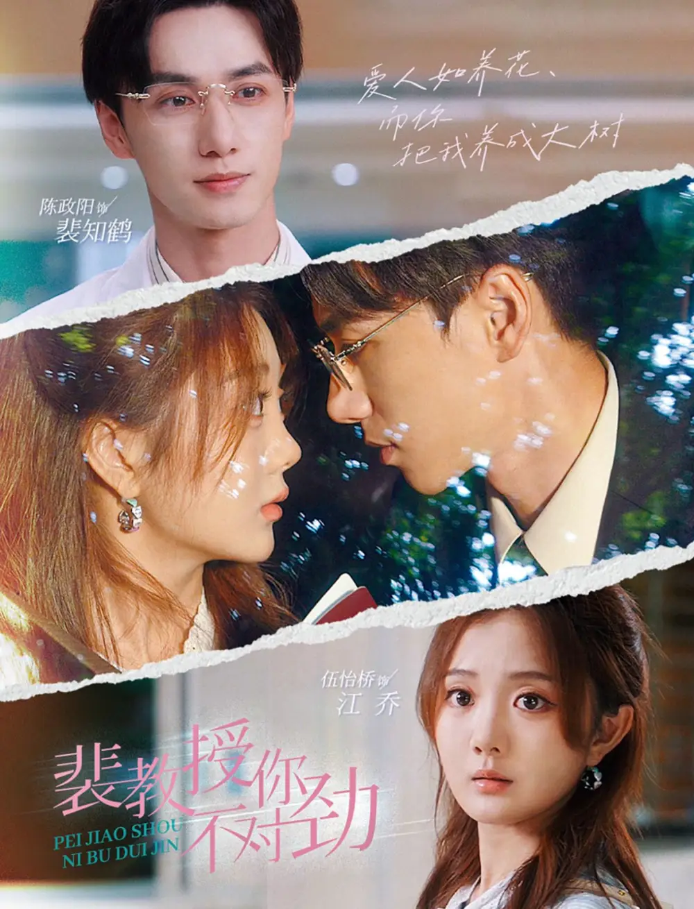 短剧《裴教授你不对劲》完整版免费在线观看