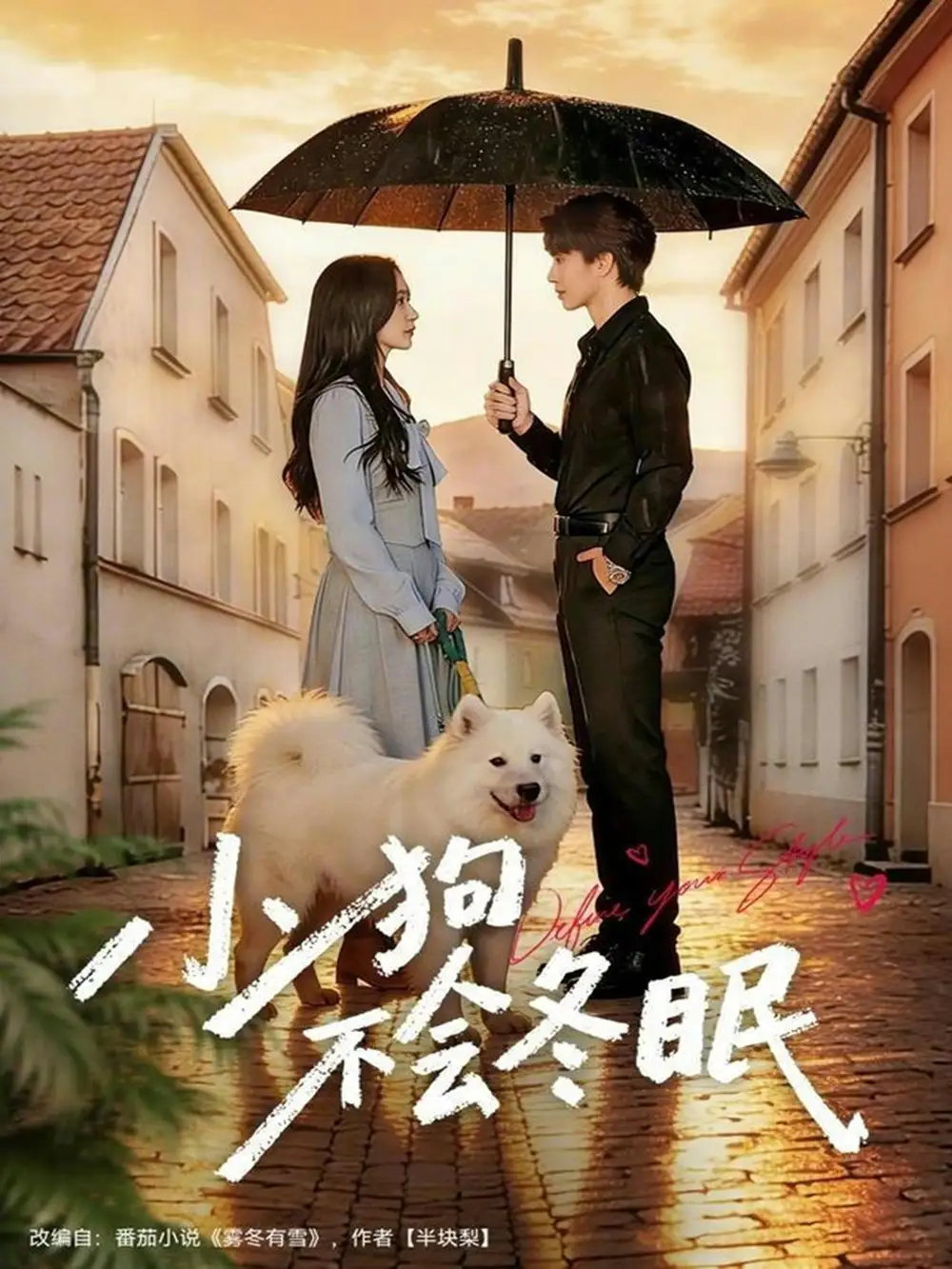 短剧《小狗不会冬眠》全集在线观看免费