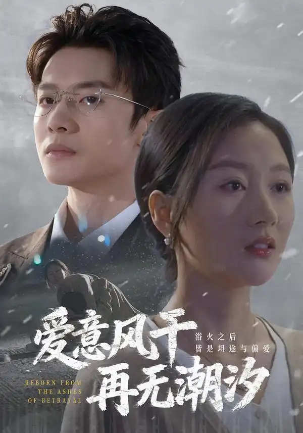 短剧《爱意风干再无潮汐》全集在线观看免费