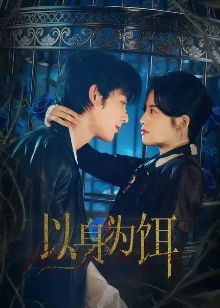 短剧《以身为饵》完整版免费在线观看