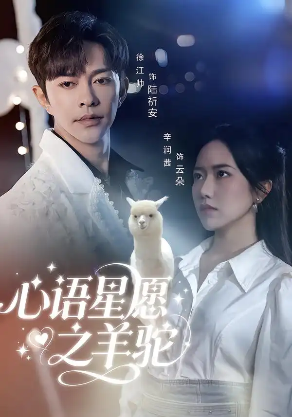 心语星愿之羊驼(60集)徐江帅&辛润茜高清海报图片 心语星愿之羊驼(60集)徐江帅&辛润茜海报