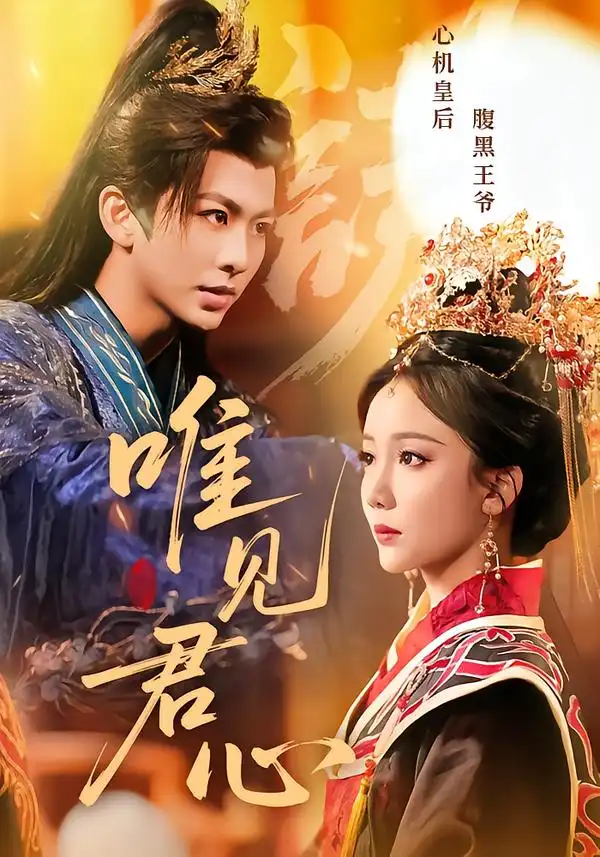 唯见君心（90集）海报