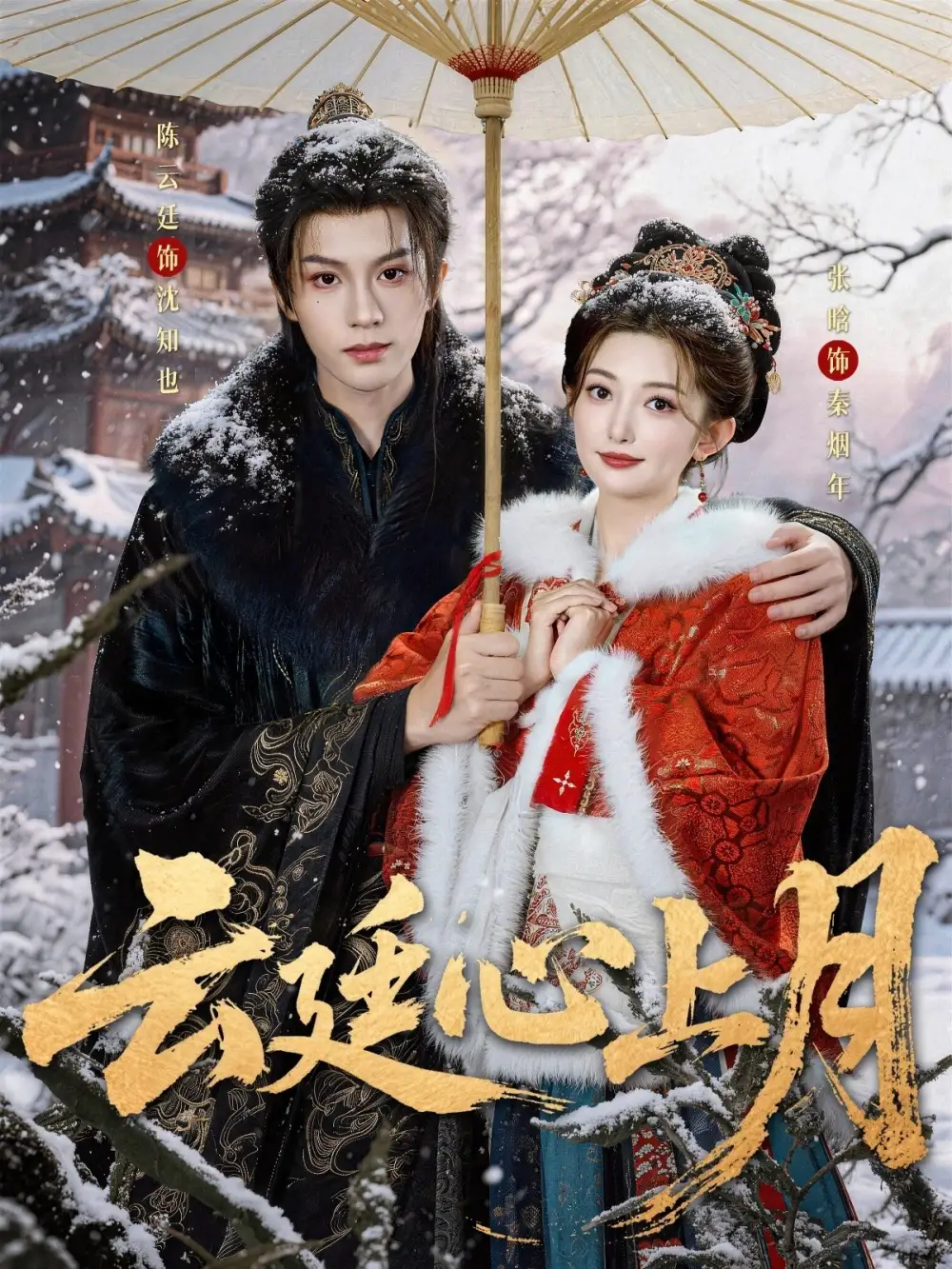 短剧《云廷心上月》全集在线观看免费