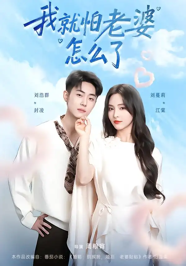 我就怕老婆怎么了（88集）刘浩群＆刘蔓莉海报