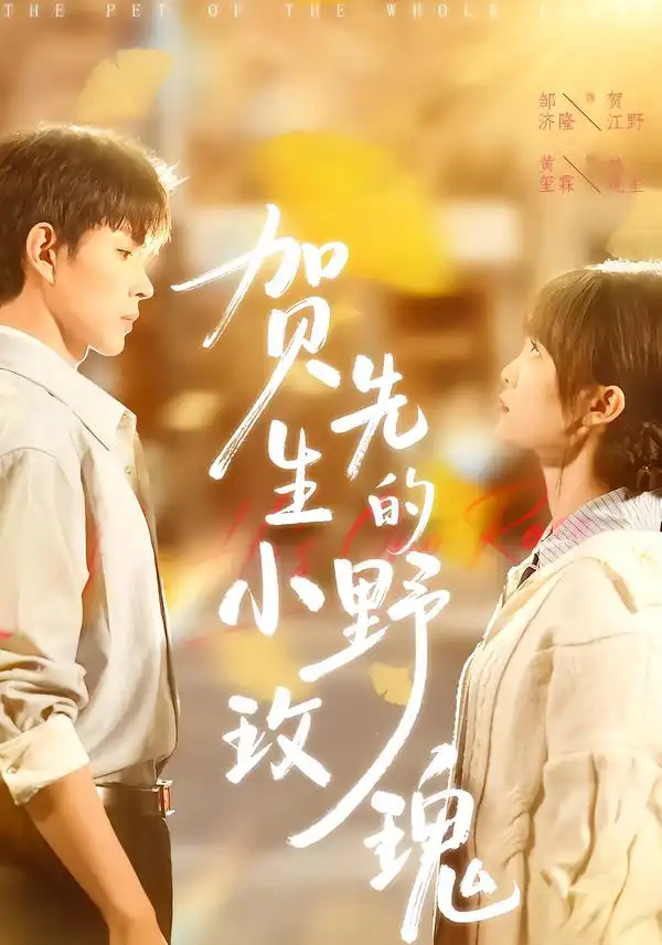 贺先生的小野玫瑰（99集）黄玺霖&邹济隆海报