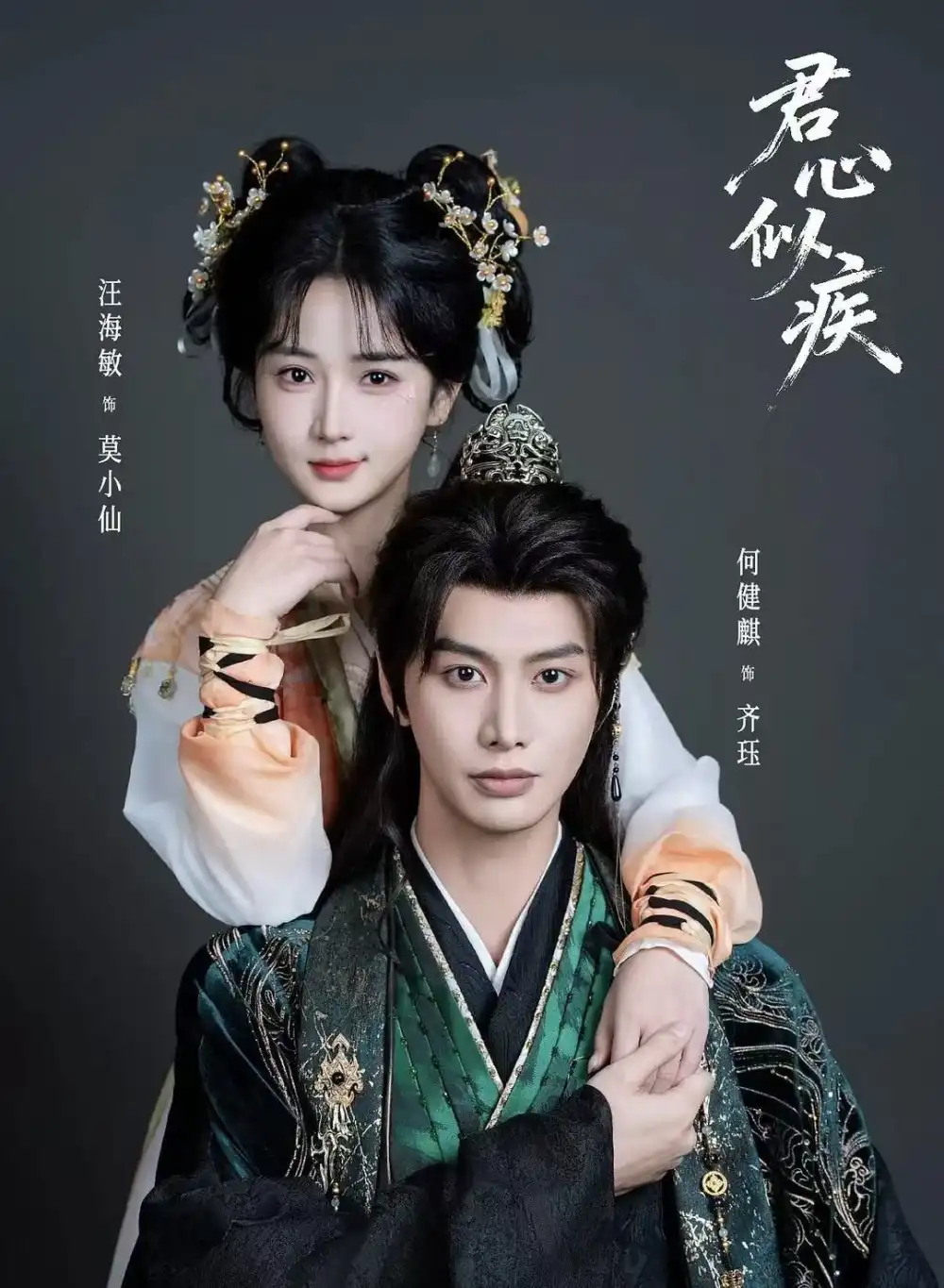 君心似疾（80集）何健麒&汪海敏海报