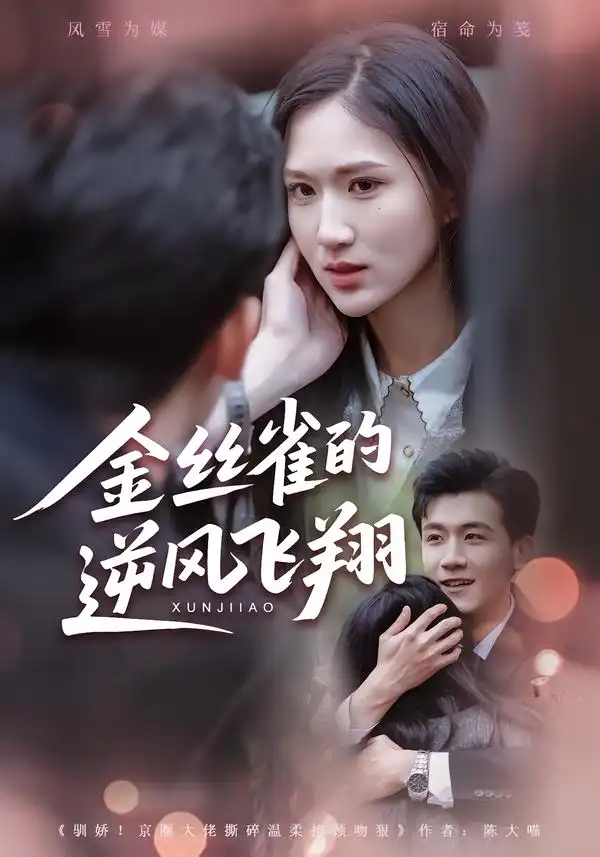 短剧《金丝雀的逆风飞翔》完整版免费在线观看