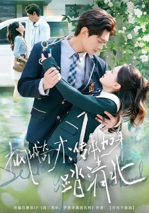 短剧《枫城奇才：传承加身踏清北》全集在线观看免费