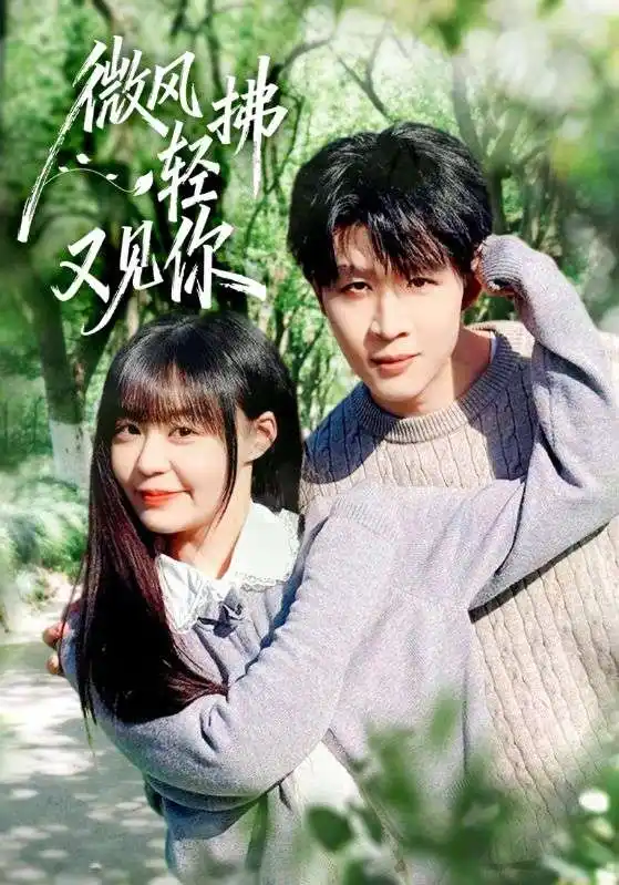 短剧《微风轻拂又见你》完整版免费在线观看