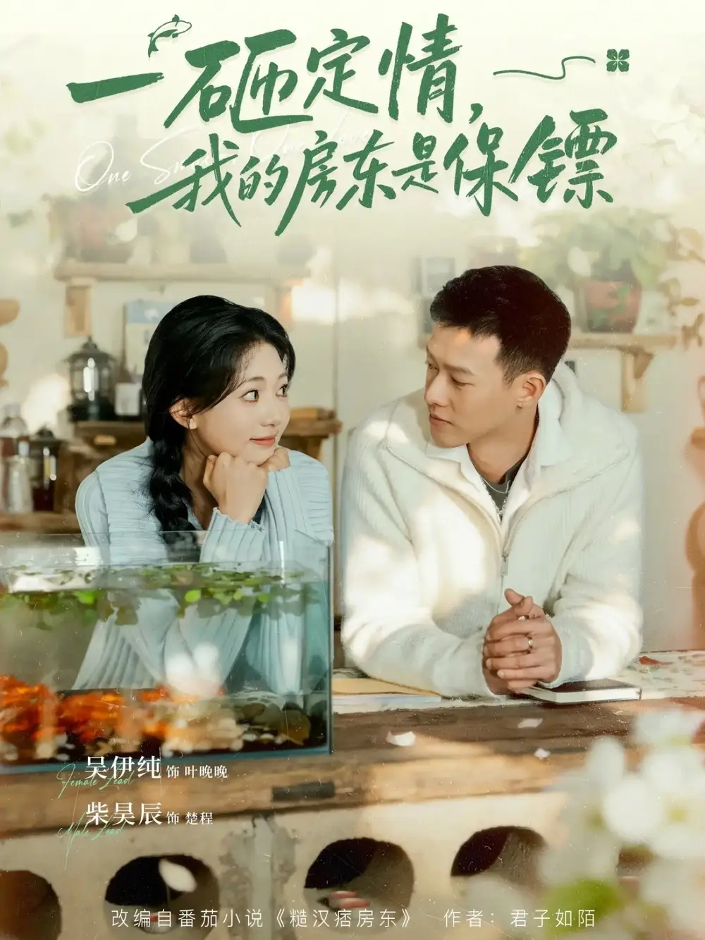 一砸定情，我的房东是保镖（70集）柴吴辰$吴伊纯海报