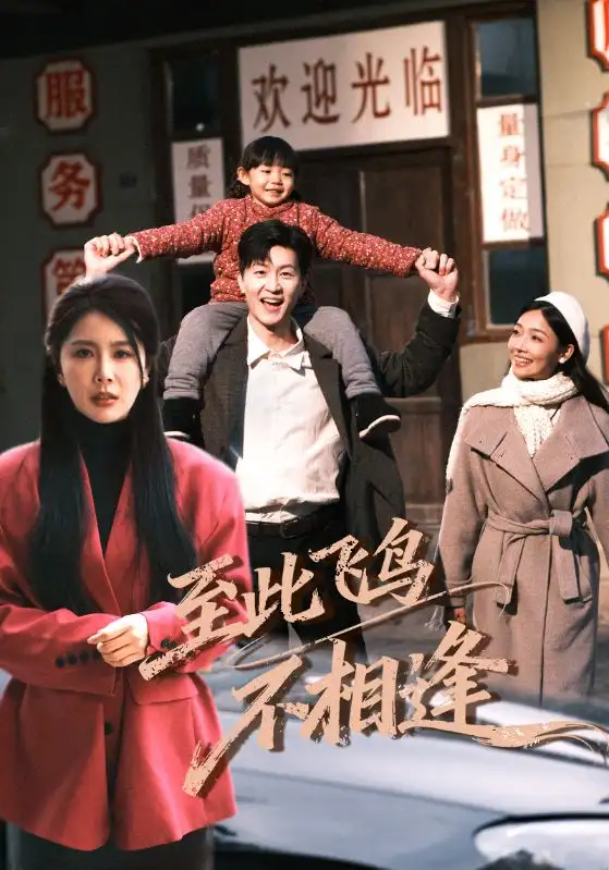 到此飞鸟不相逢（70集）王鹏$丁海霞海报