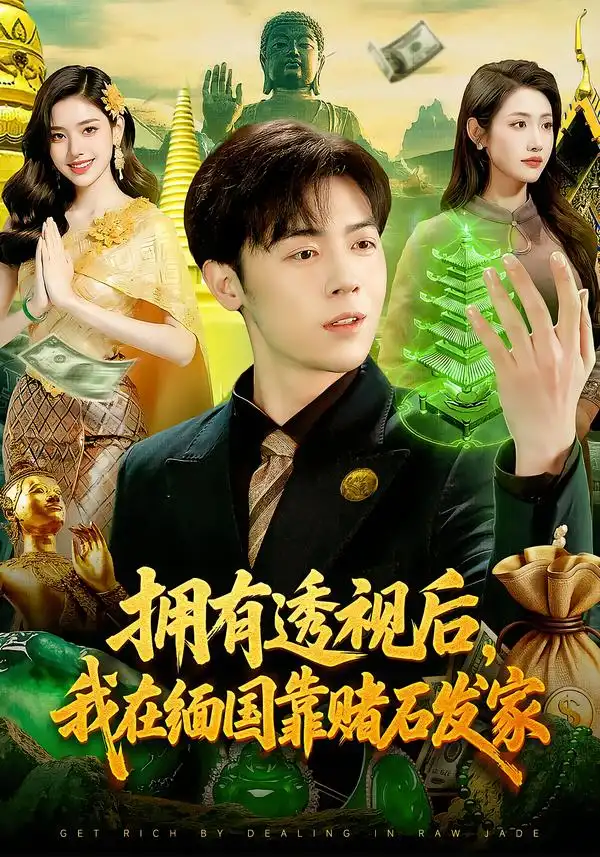 拥有透视后，我在缅国靠赌石发家（110集）张如意$苏弈海报