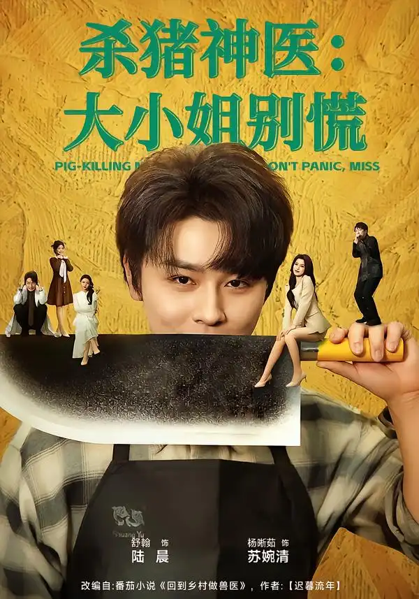 杀猪神医，大小姐别慌（80集）舒瀚＆杨晰茹海报