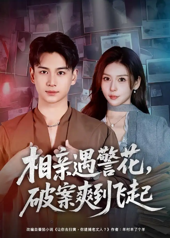 相亲遇警花，破案爽到飞起（80集）夏梦＆范高坡海报