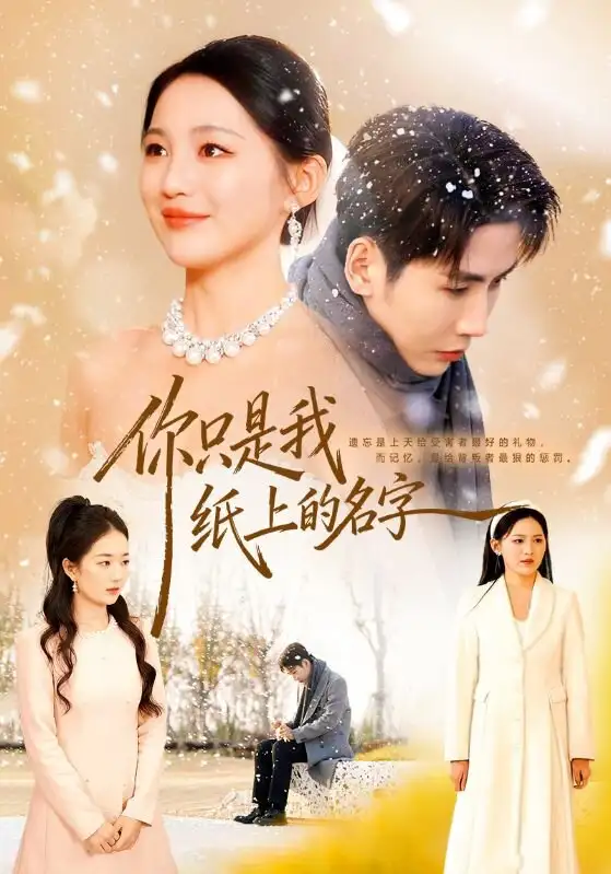你只是我纸上的名字（68集）刘博洋＆崔秀子海报