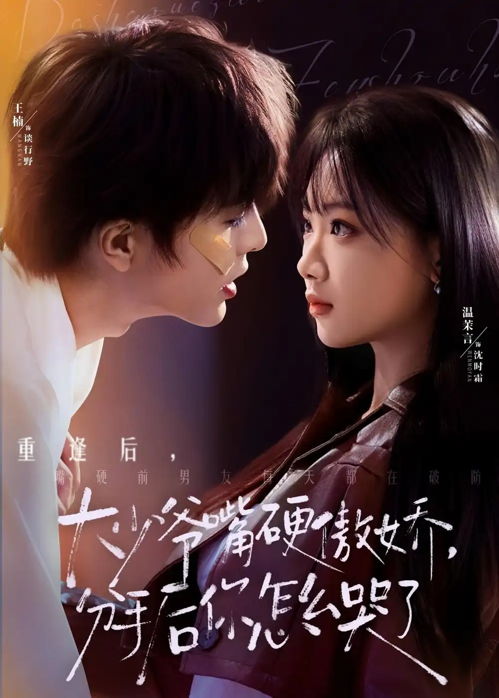 大少爷嘴硬傲娇，分手后你怎么哭了（80集）王楠＆温茉言海报