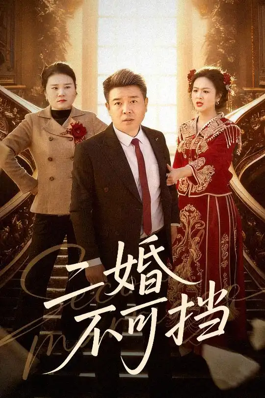 二婚不可挡（36集）任志宏&杨一海报