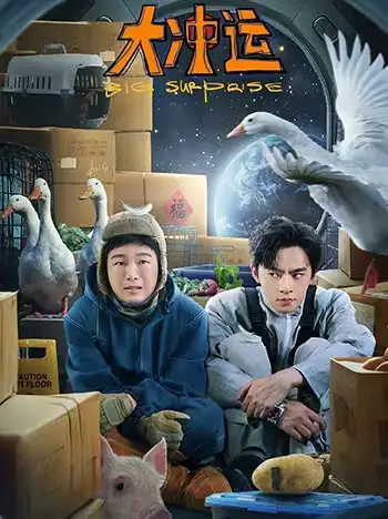 大冲运（16集）赵佳海报