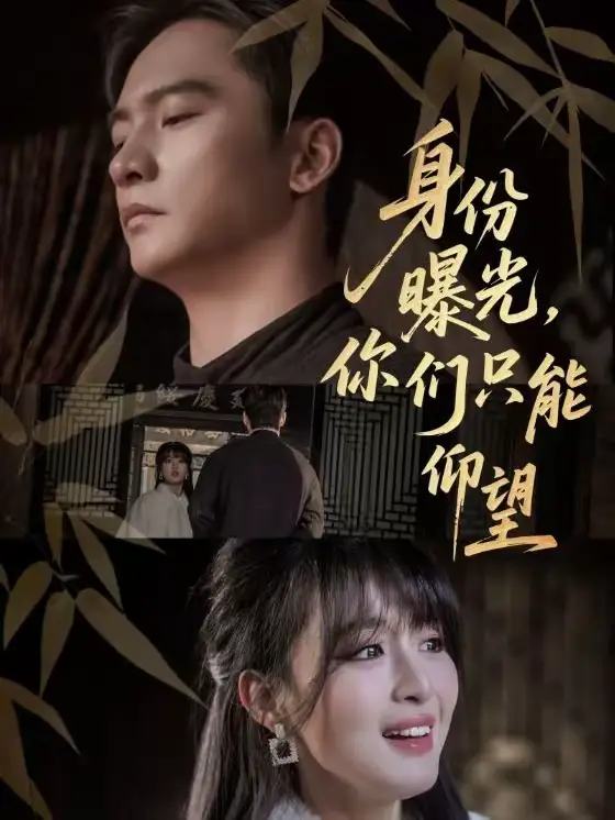 身份曝光，你们只能仰望（78集）朱新辉＆李婷海报