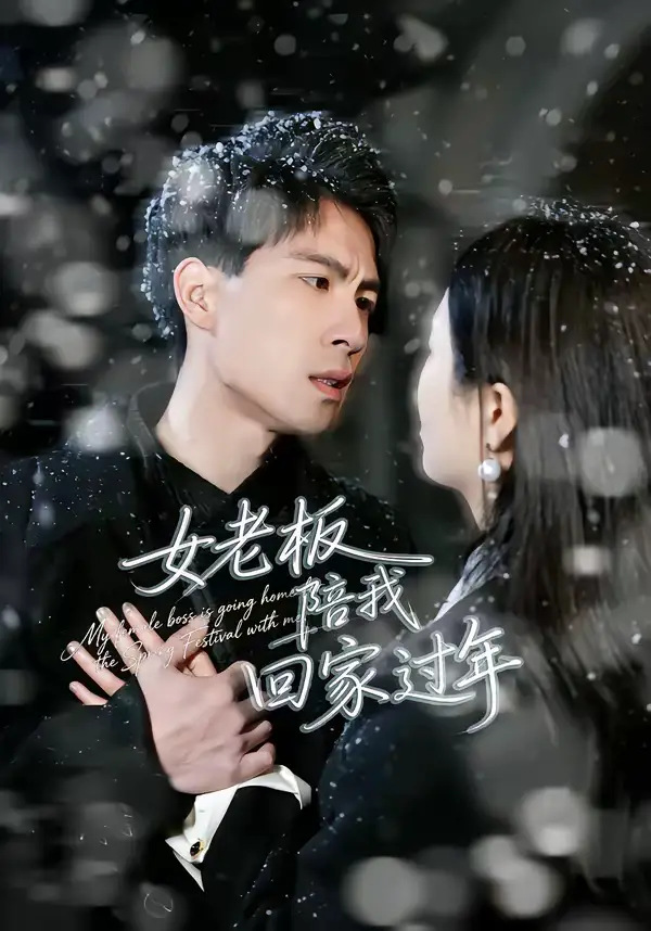 女老板陪我回家过年(40集)罗珊珊&贺翔高清海报图片 女老板陪我回家过年(40集)罗珊珊&贺翔海报