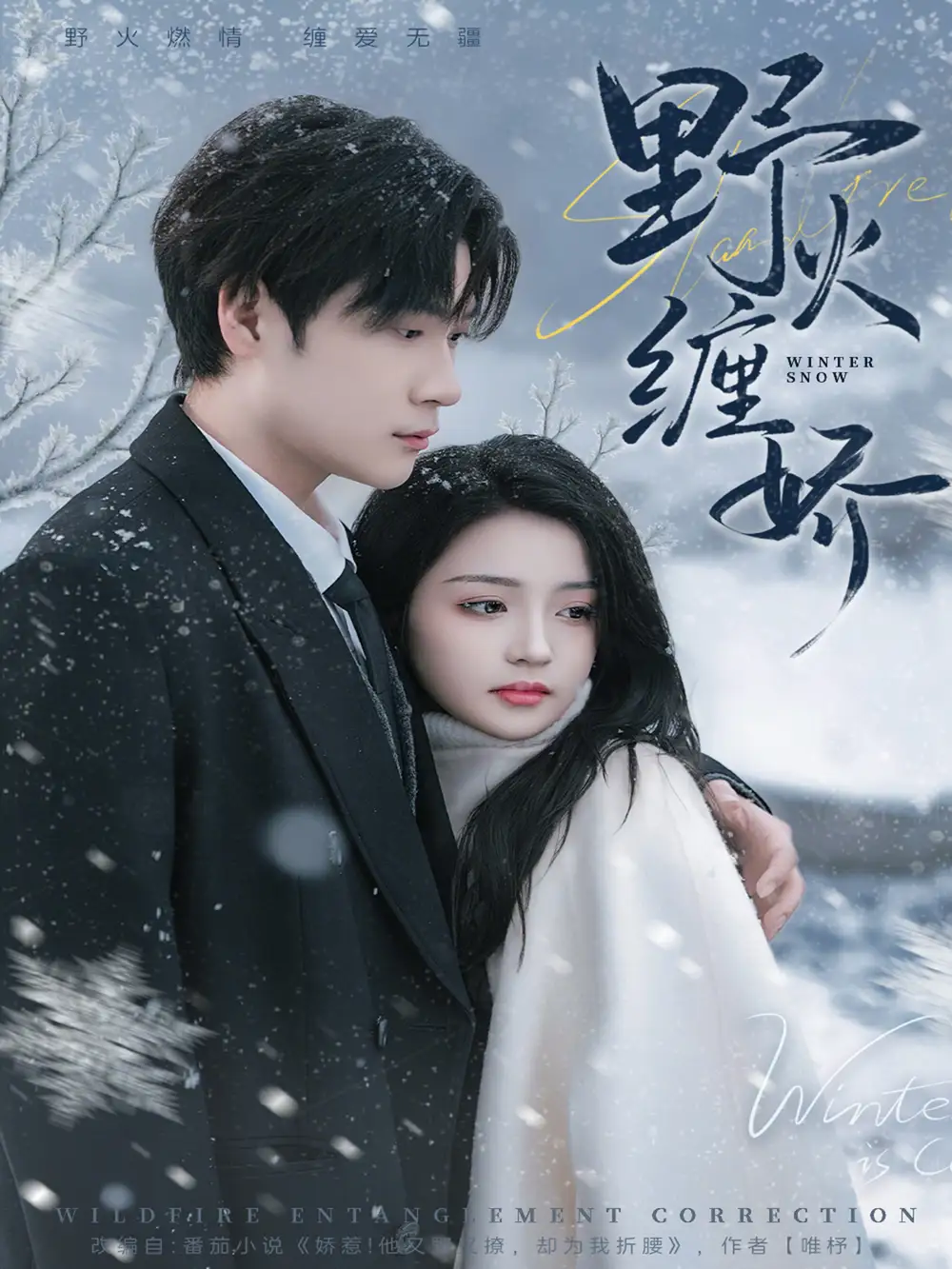 野火缠娇（66集）胡金池＆刘苗苗海报