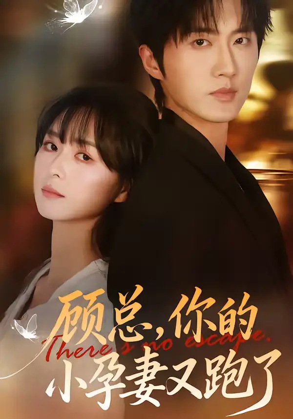 短剧《顾总，你的小孕妻又跑了》完整版免费在线观看