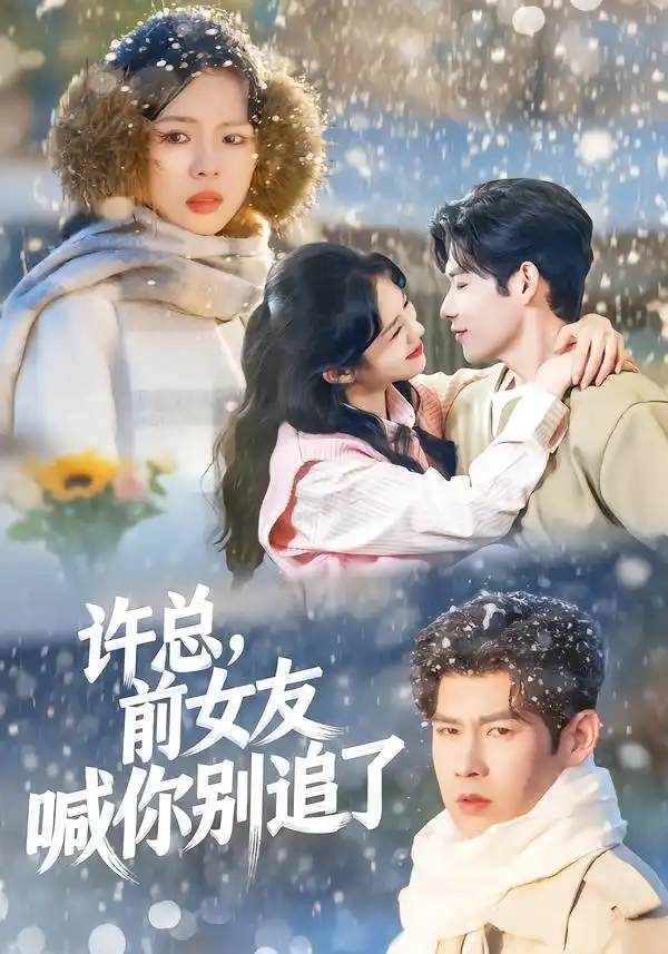 许总，前女友喊你别追了（80集）王淮璟＆麦伢海报