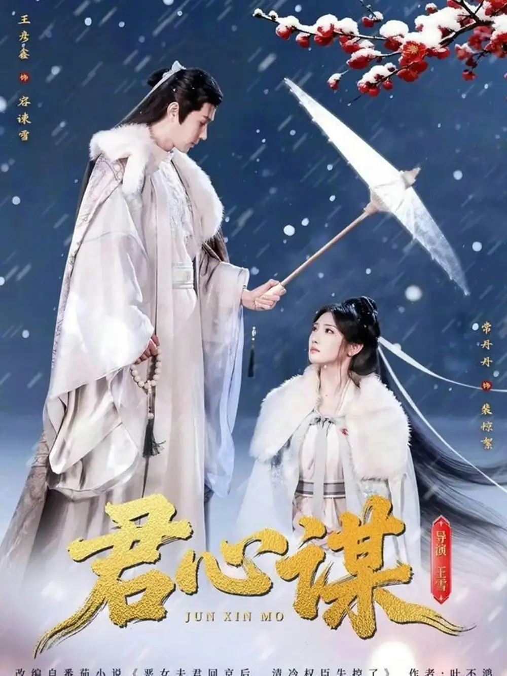 君心谋（80集）王彦鑫＆常丹丹海报