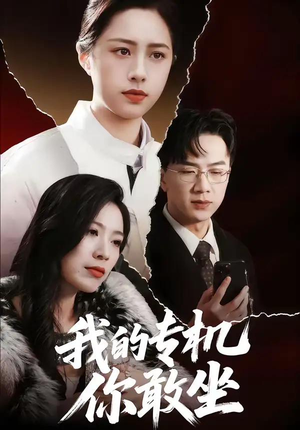 短剧《我的专机你敢坐》完整版免费在线观看