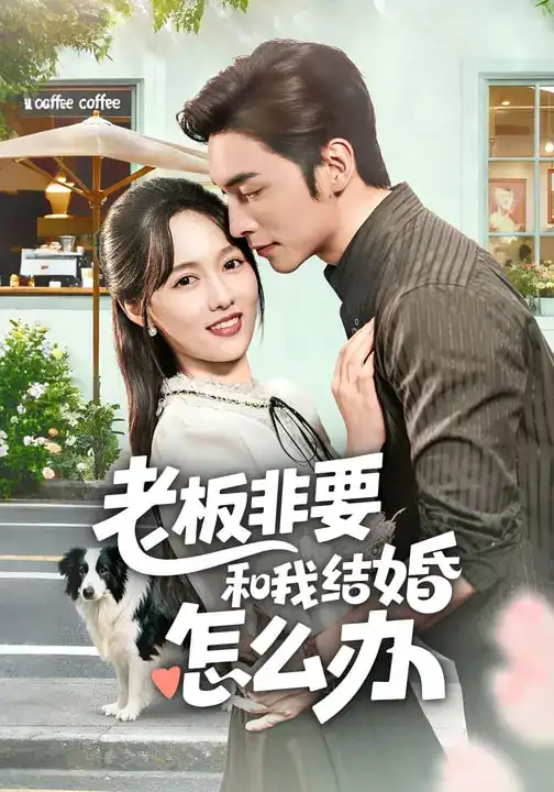 老板非要和我结婚怎么办(50集)王博&李媛菁高清海报图片 老板非要和我结婚怎么办(50集)王博&李媛菁海报