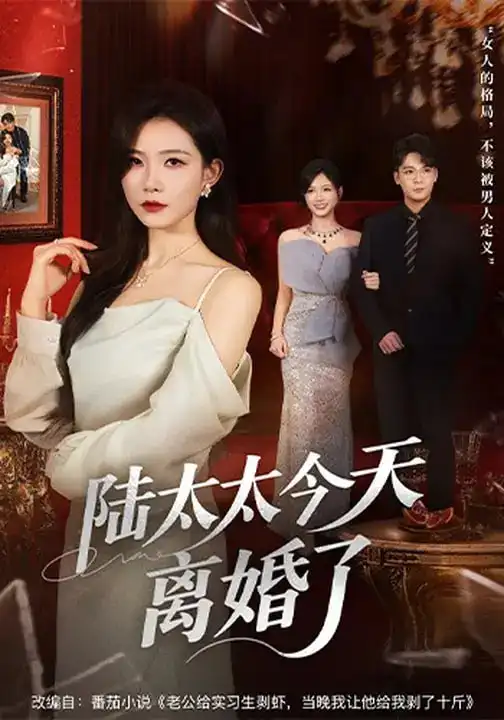 短剧《陆太太今天离婚了》全集在线观看免费