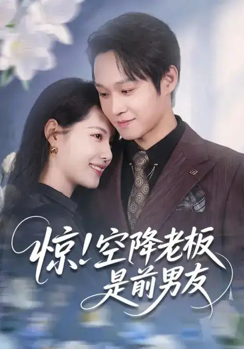 惊！空降老板是前男友（65集）董洁&王金泽海报