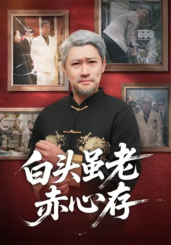 短剧《白头虽老赤心存》完整版免费在线观看