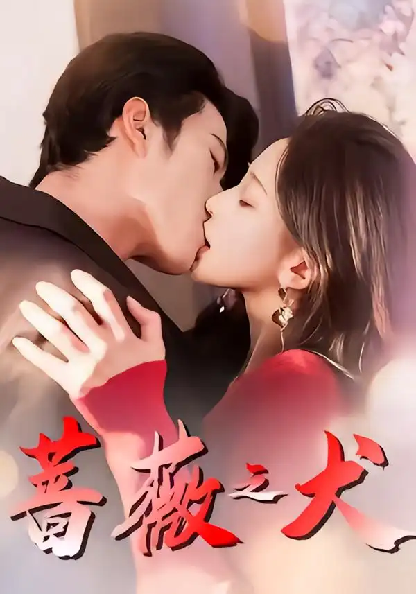 短剧《蔷薇之犬》完整版免费在线观看