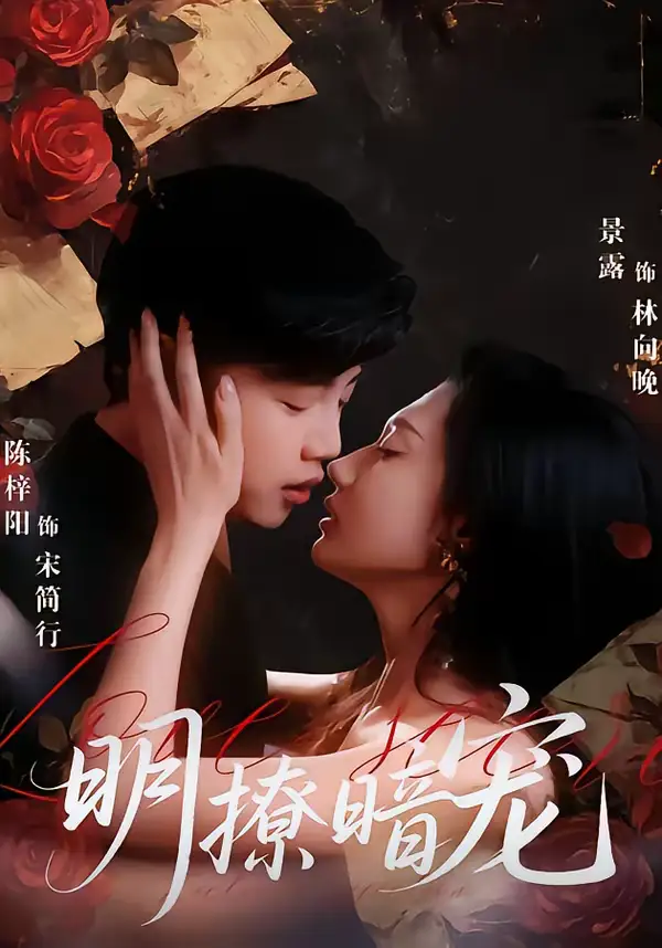 短剧《明撩暗宠》完整版免费在线观看