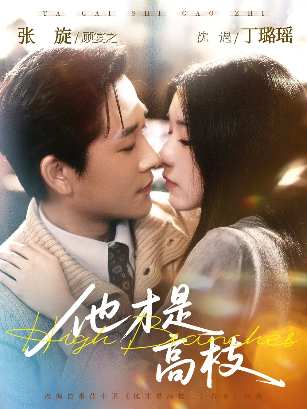 短剧《他才是高枝》全集在线观看免费