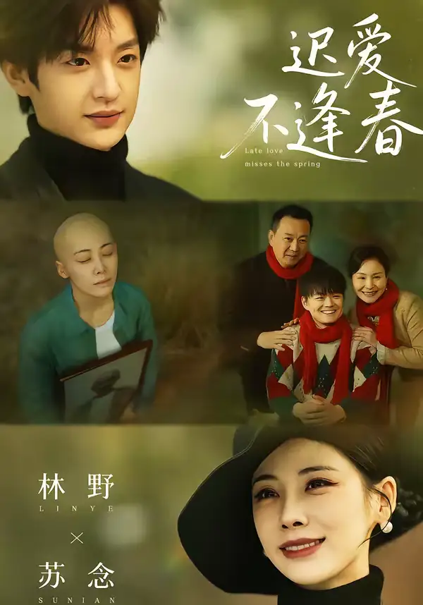 短剧《迟爱不逢春》完整版免费在线观看