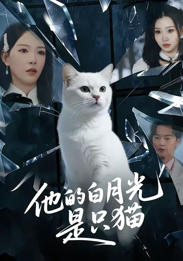 短剧《他的白月光是只猫》完整版免费在线观看