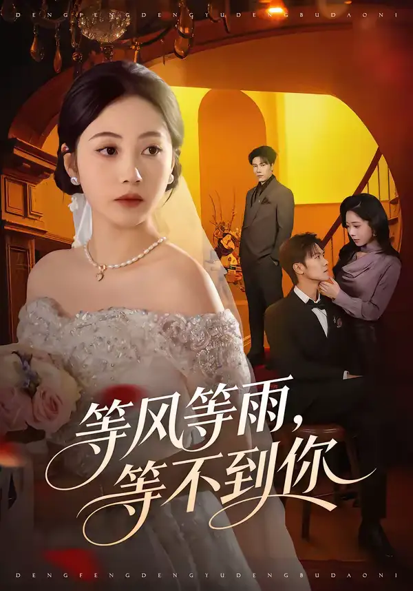 短剧《等风等雨，等不到你》全集在线观看免费