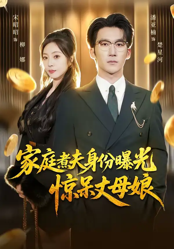 家庭煮夫身份曝光惊呆丈母娘（80集）潘亚楠＆宋昭昭海报