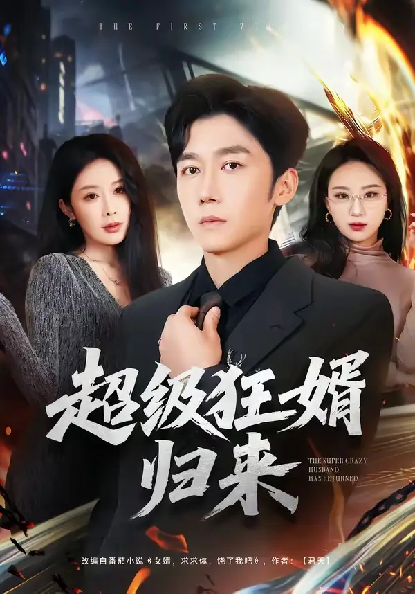 超级狂婿归来（81集）杨景景$彭剑雄海报