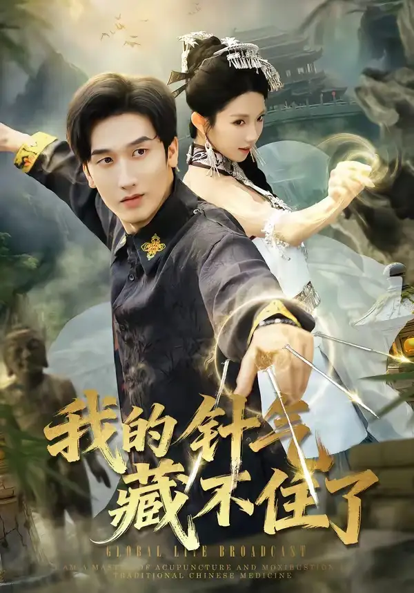我的针气藏不住了（69集）王彬茗$毛宽仁海报