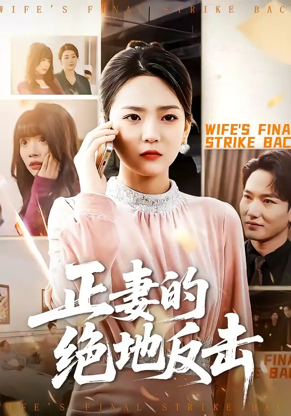 正妻的绝地反击（76集）张浩天&高婧琪海报