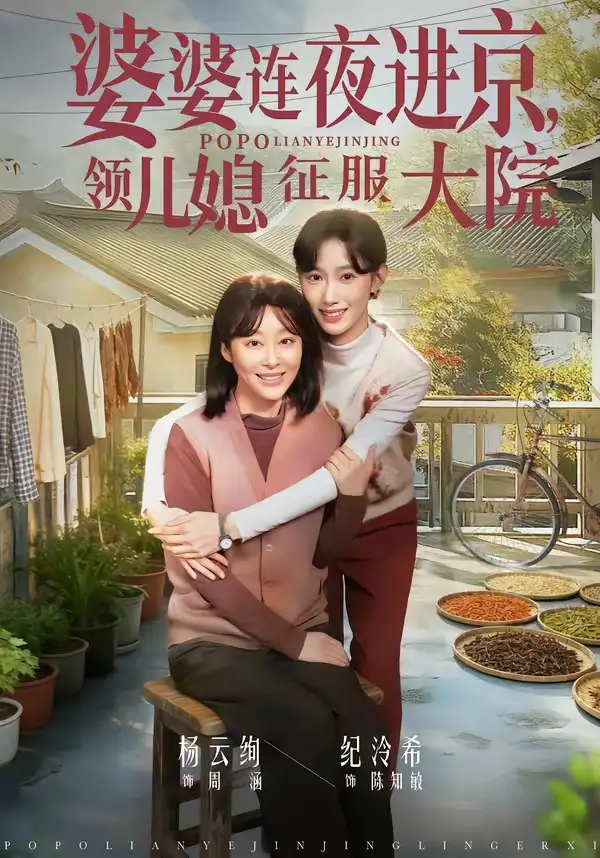 短剧《婆婆连夜进京，领儿媳征服大院》完整版免费在线观看